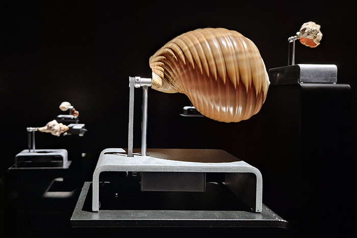 Hard Times – Soft Sounds